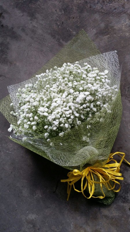 Baby-Breath-Handbouquet