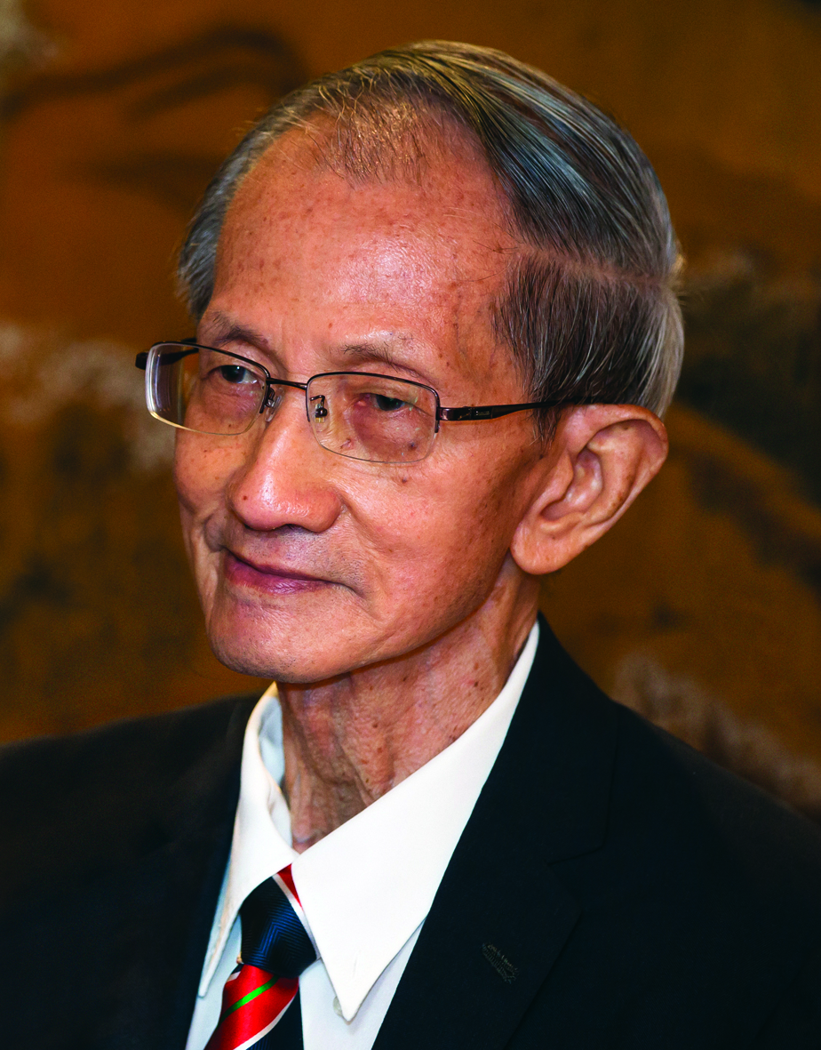 Professor Emeritus Dr. Chin Hoong Fong