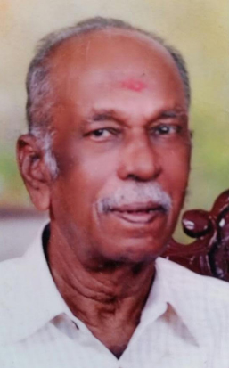 MR. PARAMESWARAN s/o GOVINDAN (G.P WARAN)