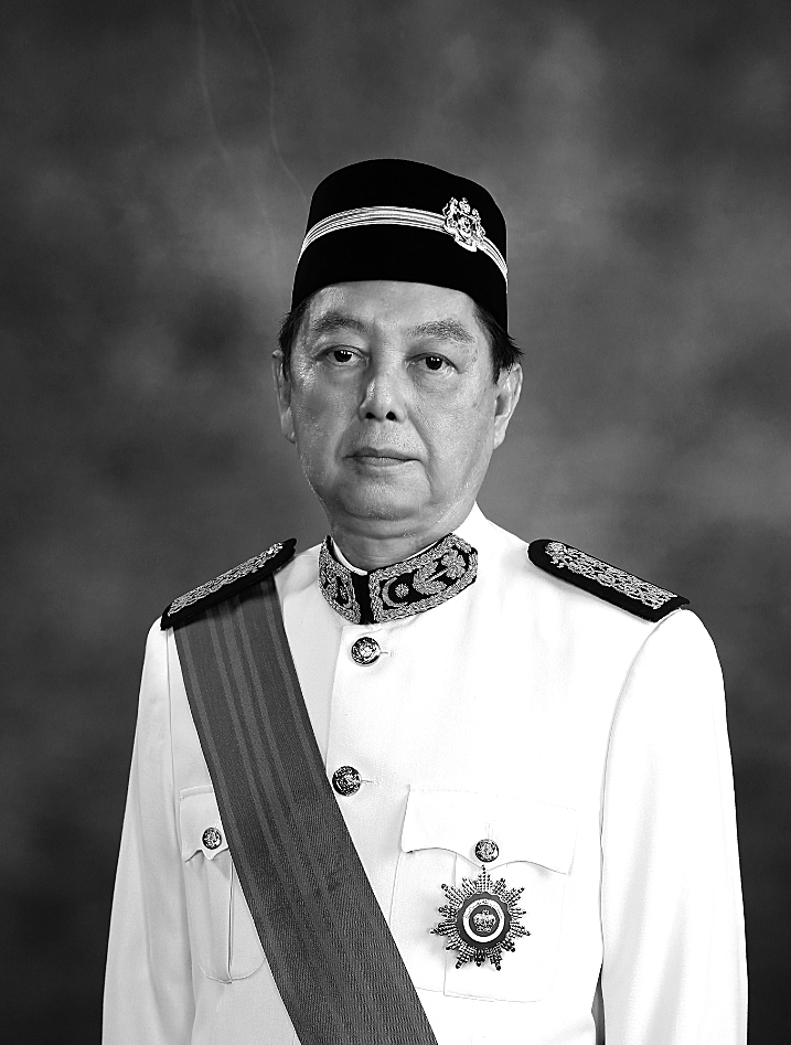 Tan Sri Dato' Wong Mook Leong (PSM, DPMS, KMN, AMS)